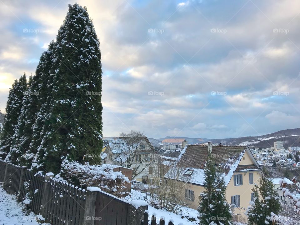 Snow covered houses and trees in Switzerland 