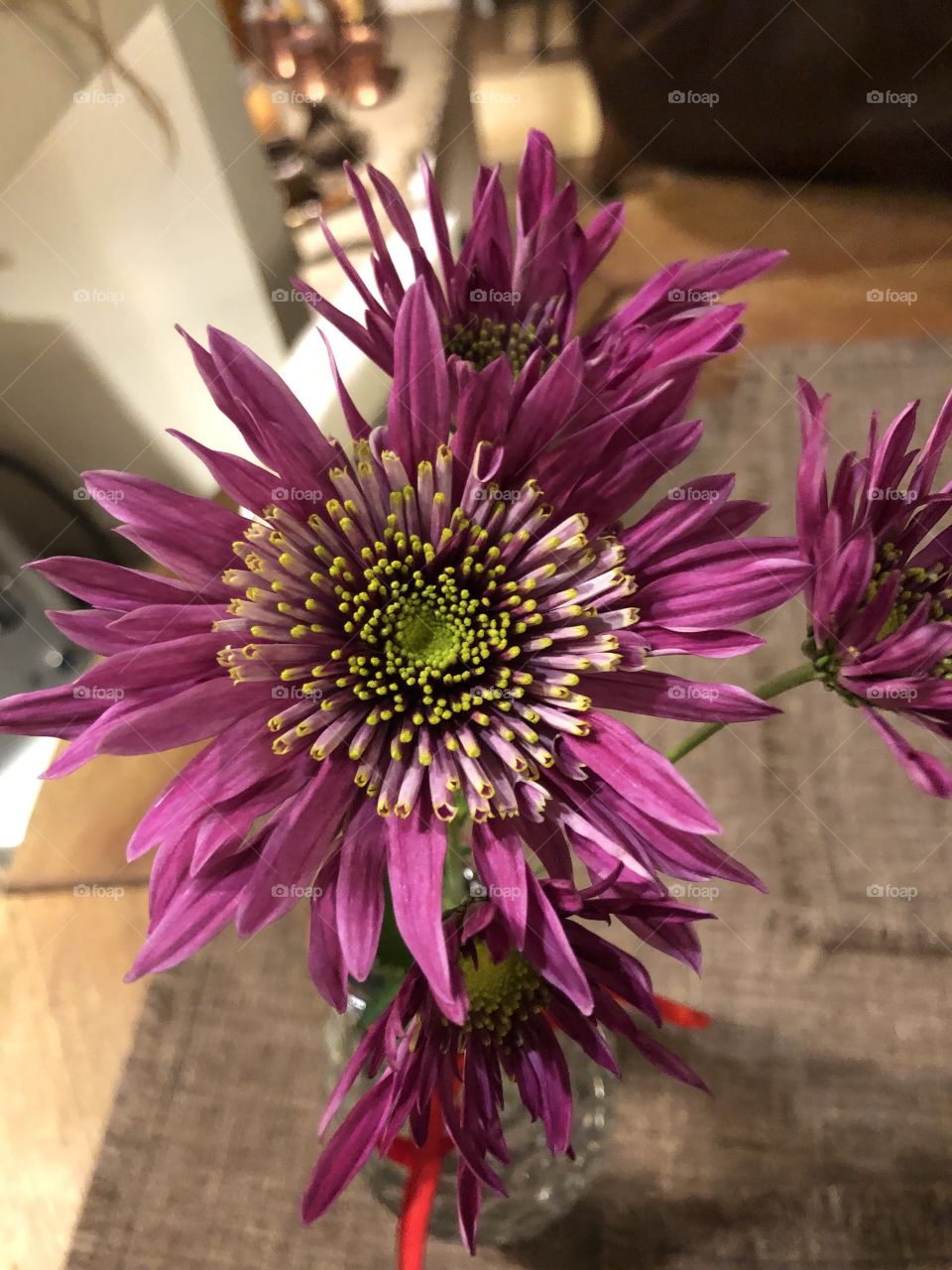 Flowers for table decoration