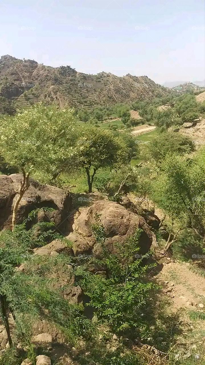 Glory be to God, the magnificent and picturesque view and the natural green trees are a view that is nothing more wonderful than it