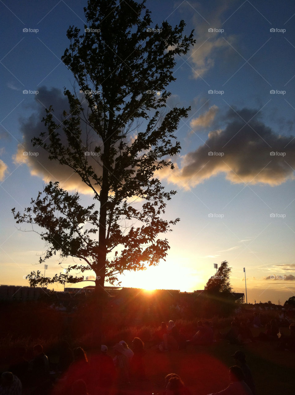 tree sunset spectators olympics by FrankTheDog