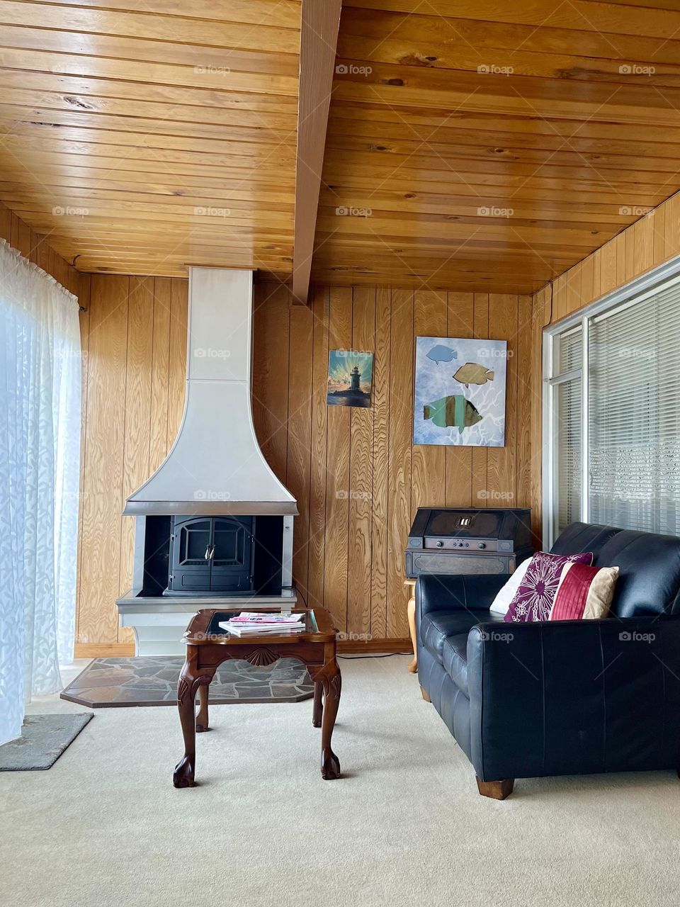 Cozy living room with the fireplace and sofa