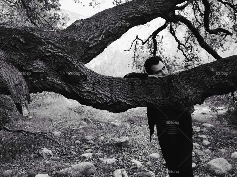 Man leaning in tree branch