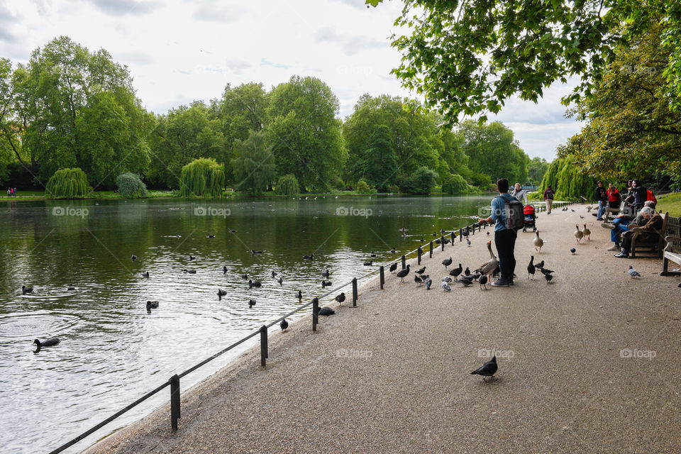 St James Park in London.