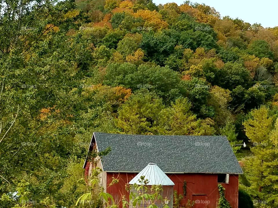 Driving the Back Roads and enjoying everything around us