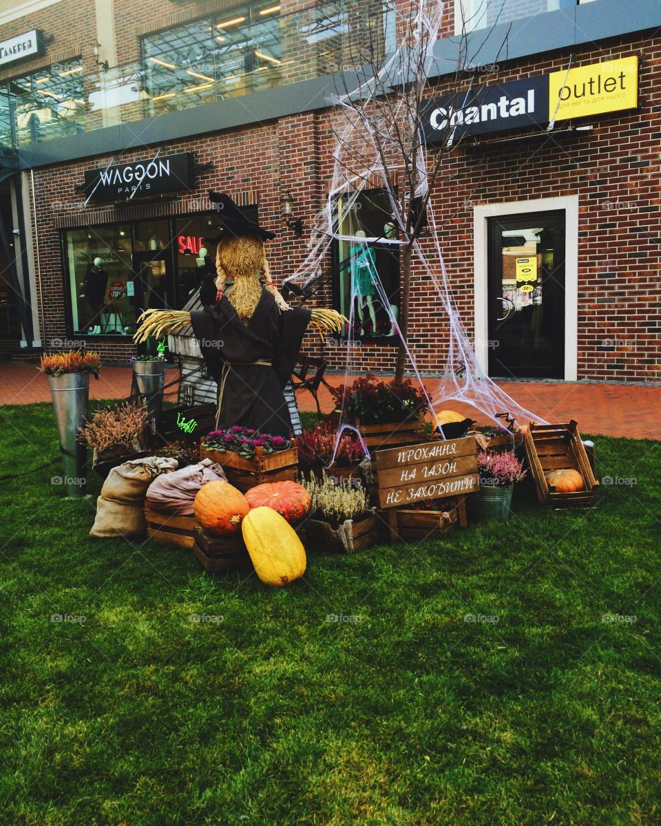 Halloween, fog, ominous, pumpkin, design, cut, candles, night, scary, fear, castle, fireplace, fire, firewood, fall, October, holiday, celebrate, day, all, saints, autumn cozy, funny, cheerful, sleepy hollow, scary forest, a dense, hazy, foggy, forest, apples, harvest, fruit, warm, November, September, orange, citrus, rustic, style, decor, candy,