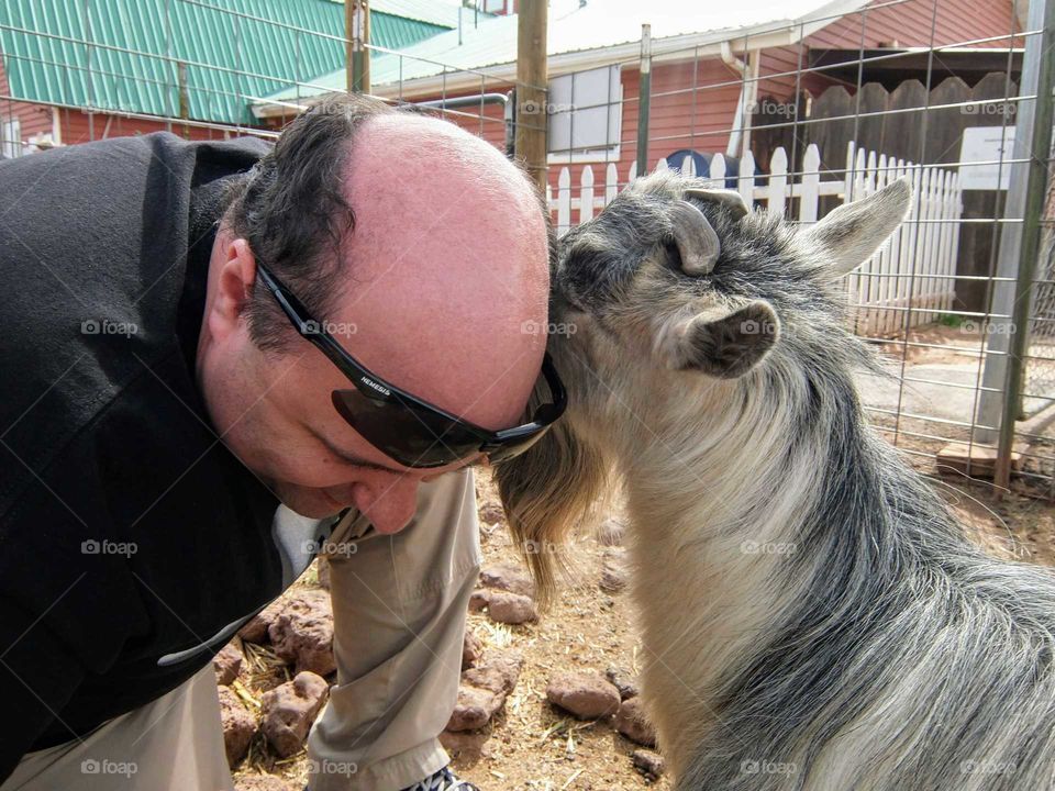 Goat whispers