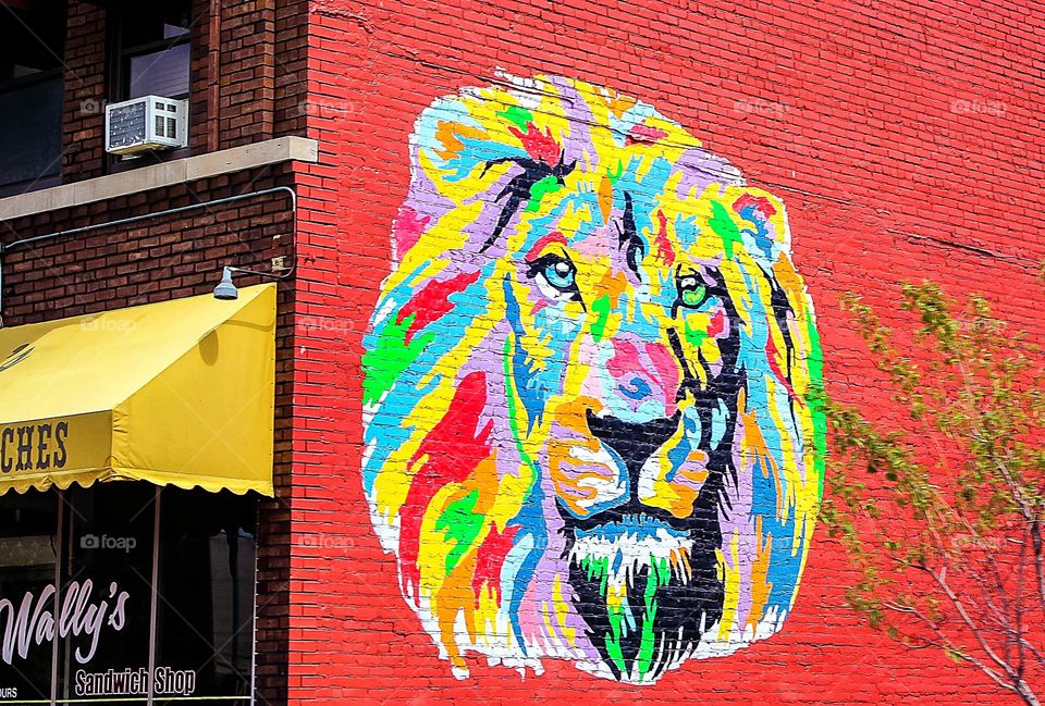 Lion Graffiti