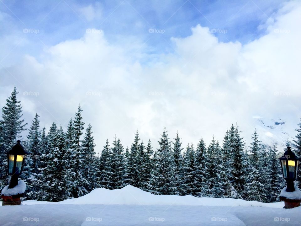 Snow, Winter, Mountain, Cold, Wood