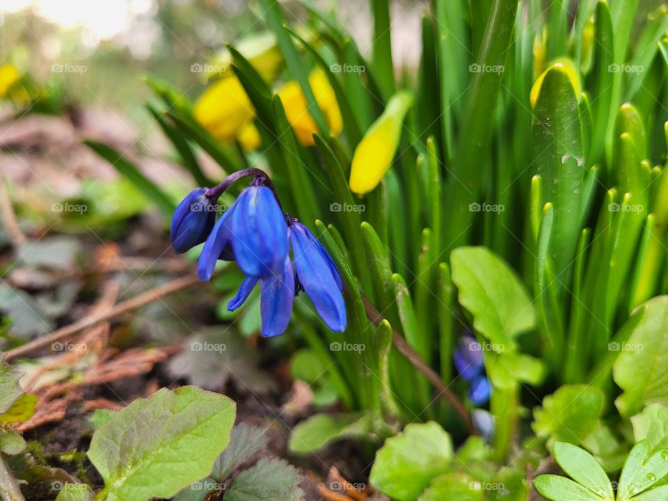 Frühling  🤗🤗🤗