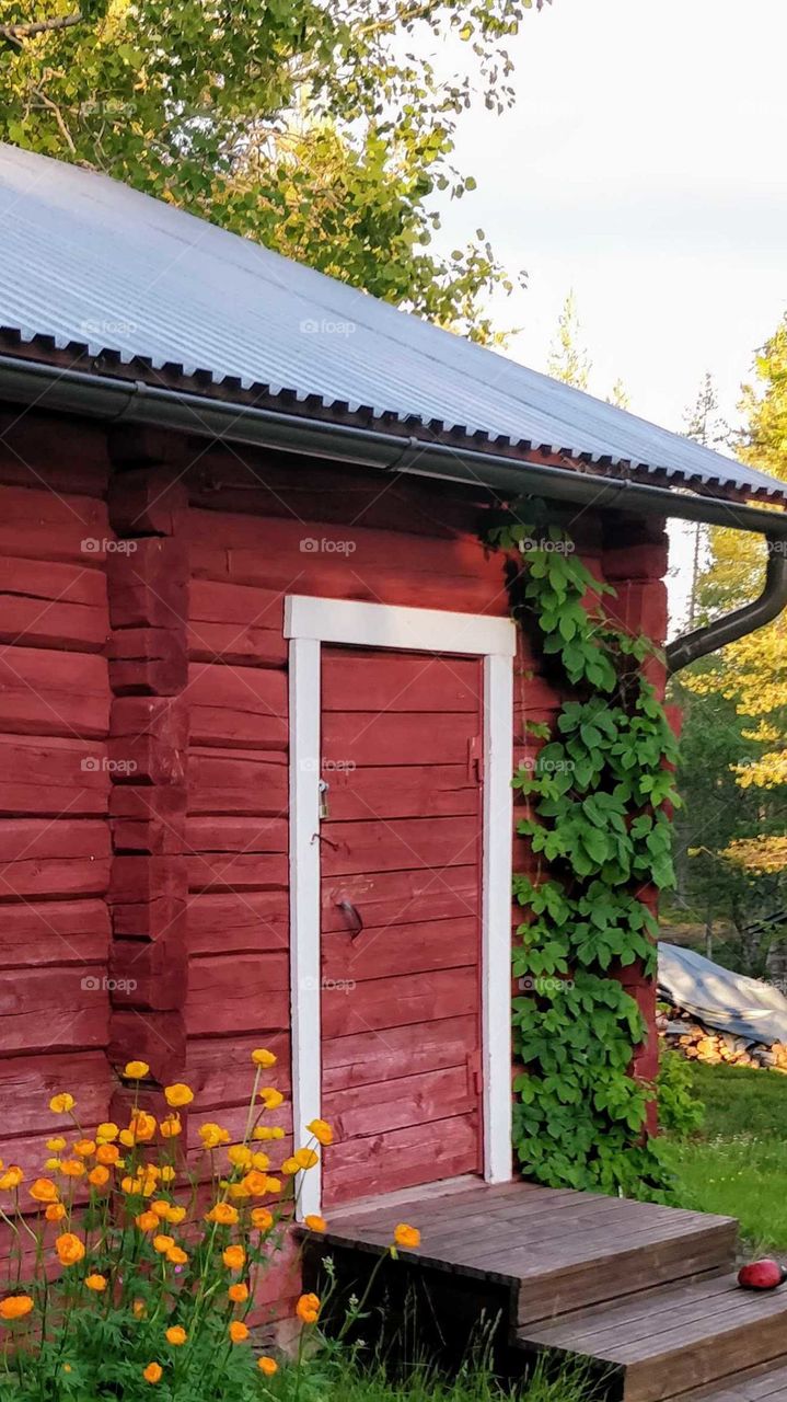 Sauna door