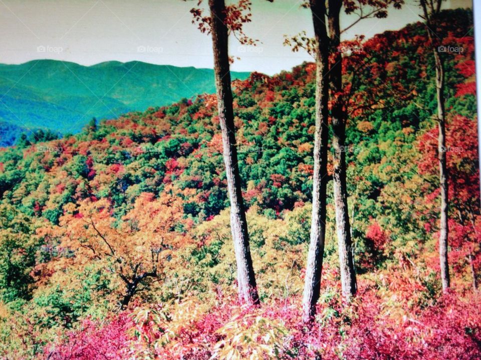 Mountains in the fall