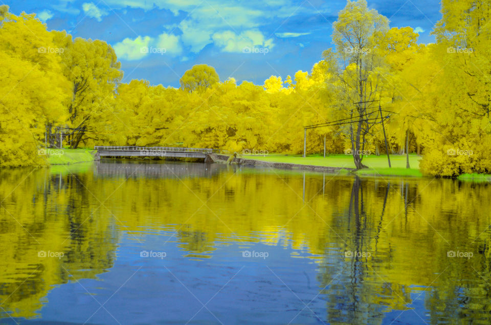 "Just as a lake"
Infrared photography