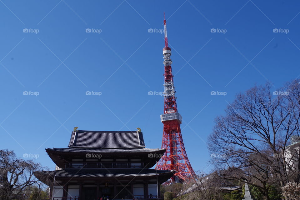 TokyoTower and Temple
beautiful Japan