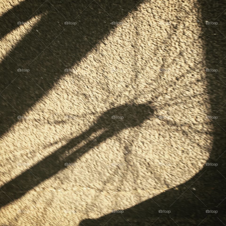 Distorted shadow of a bicycle wheel 