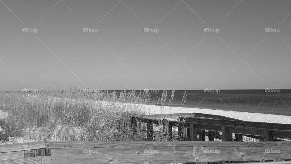 beach dune grayscale