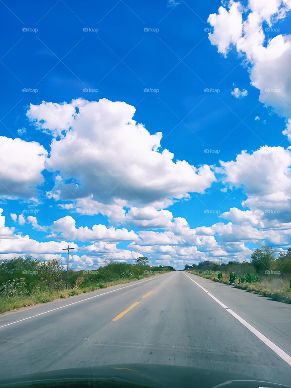 Cotton clouds.... They bring peace to the heart, warm the feelings hidden until then....