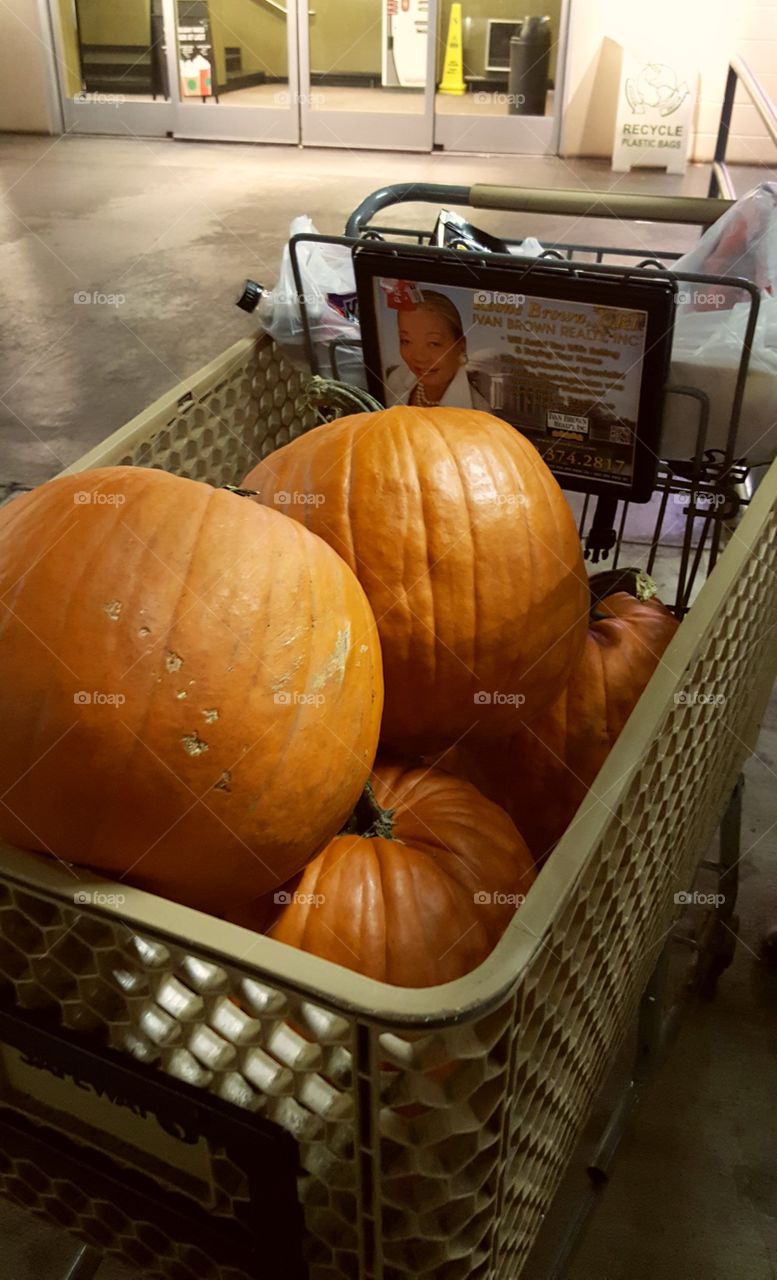 pumpkins...grocery store run