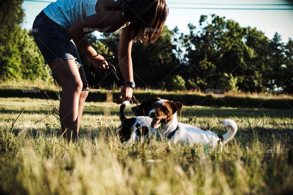 Dogs on walk