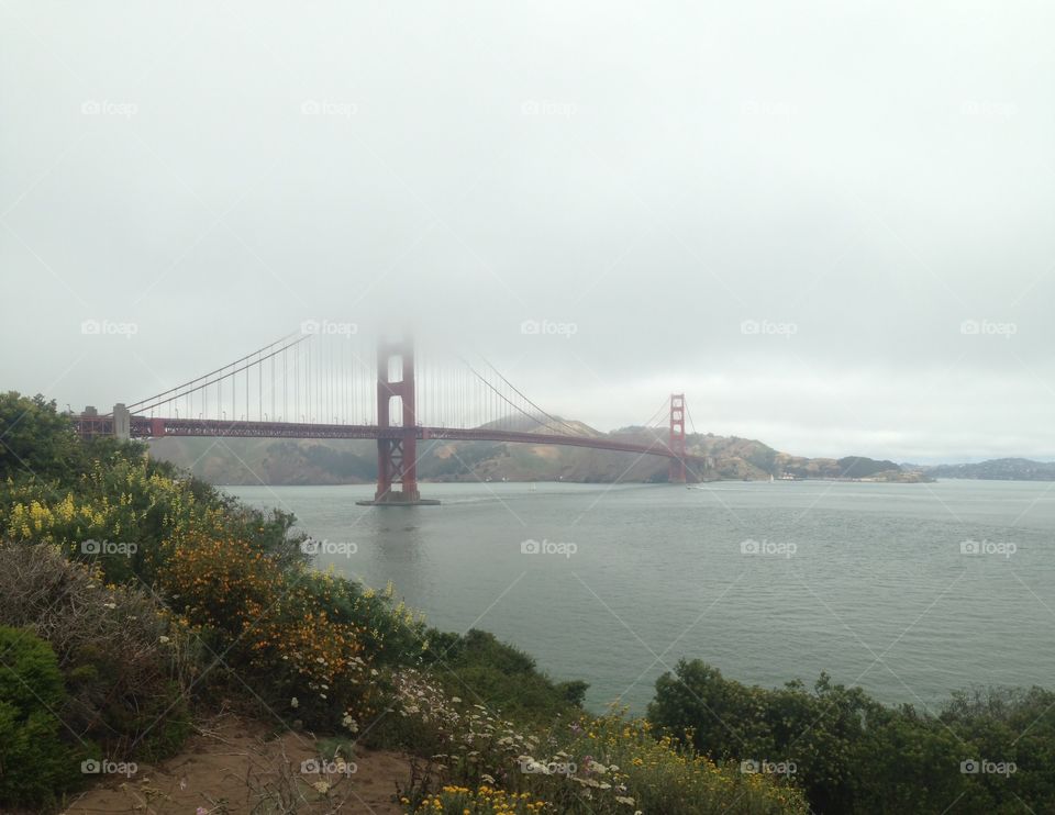 Foggy morning in San Francisco 