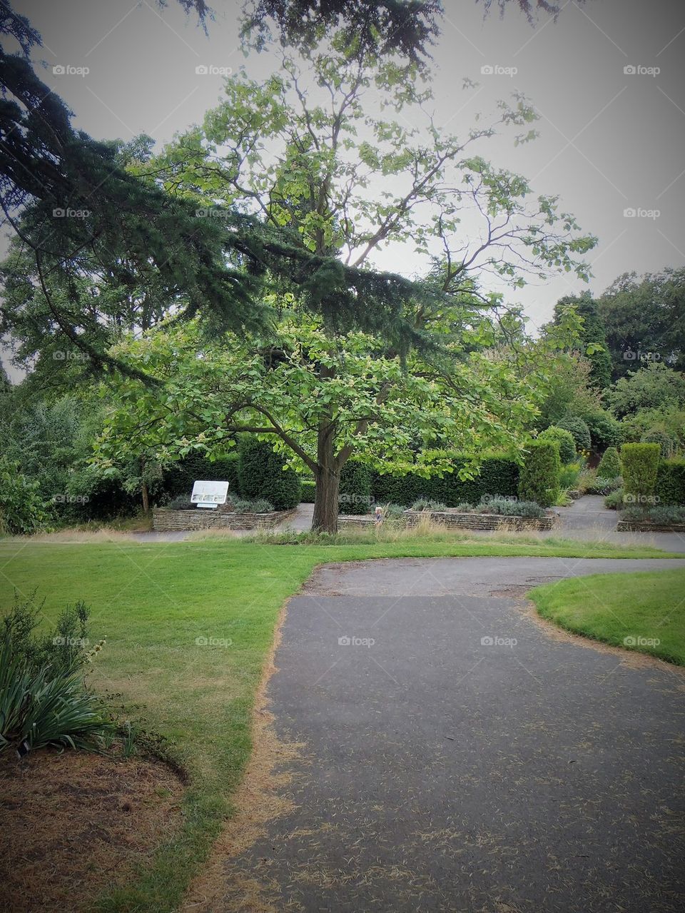 Walk about in the park