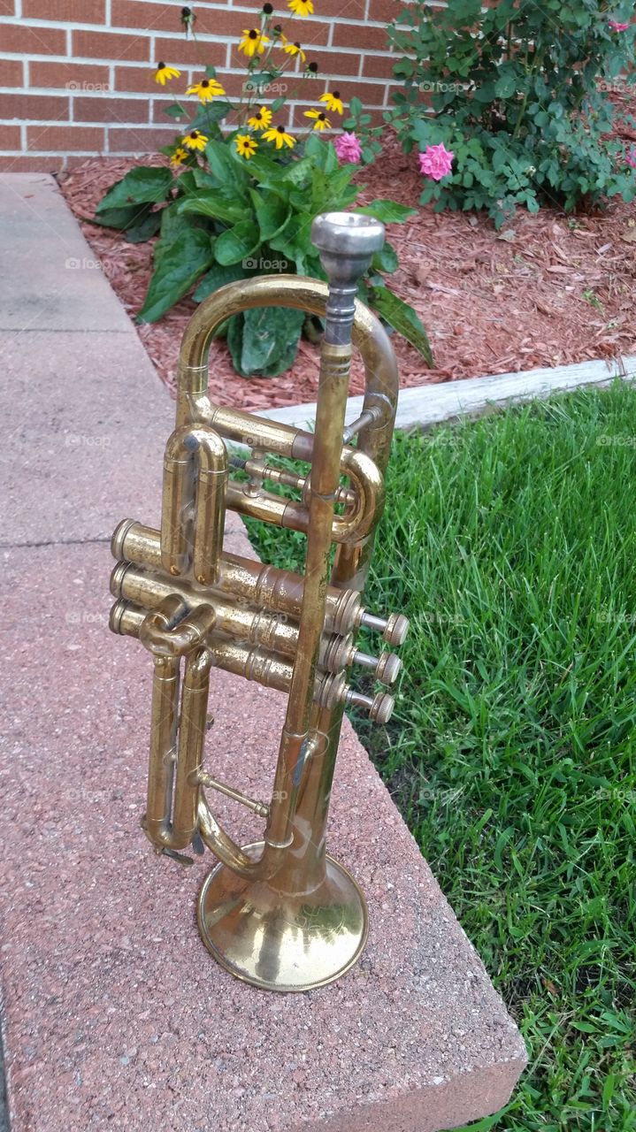 trumpet rest