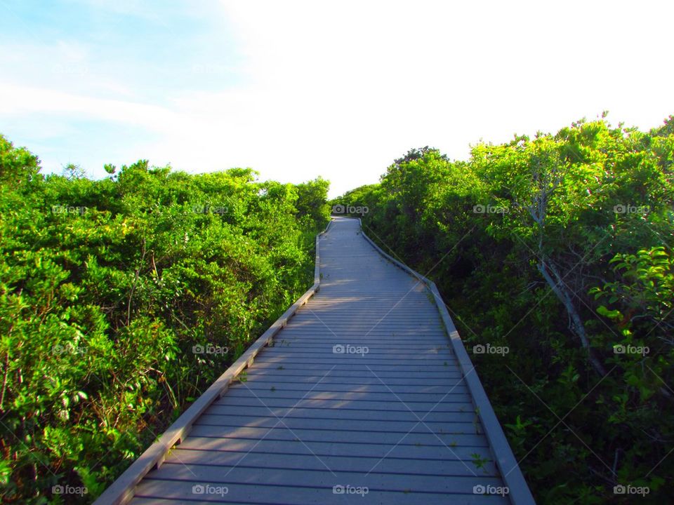 boardwalk 