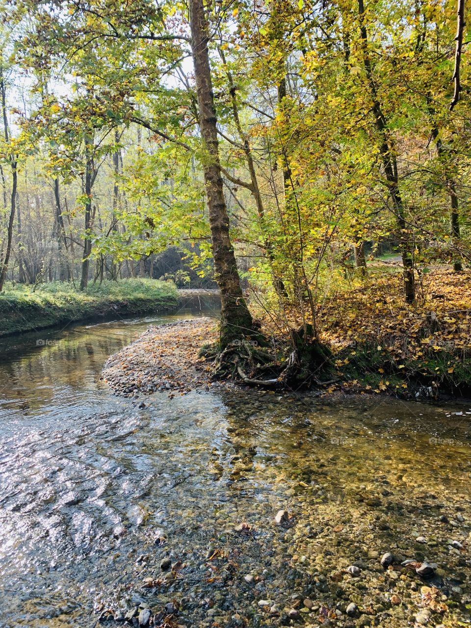 a torrent flows placidly on its bed at the base of the valley