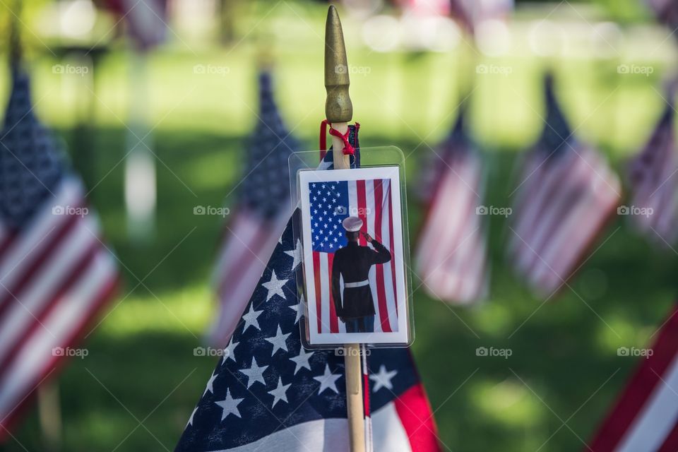 Memorial Day flags, patriotic rememberance