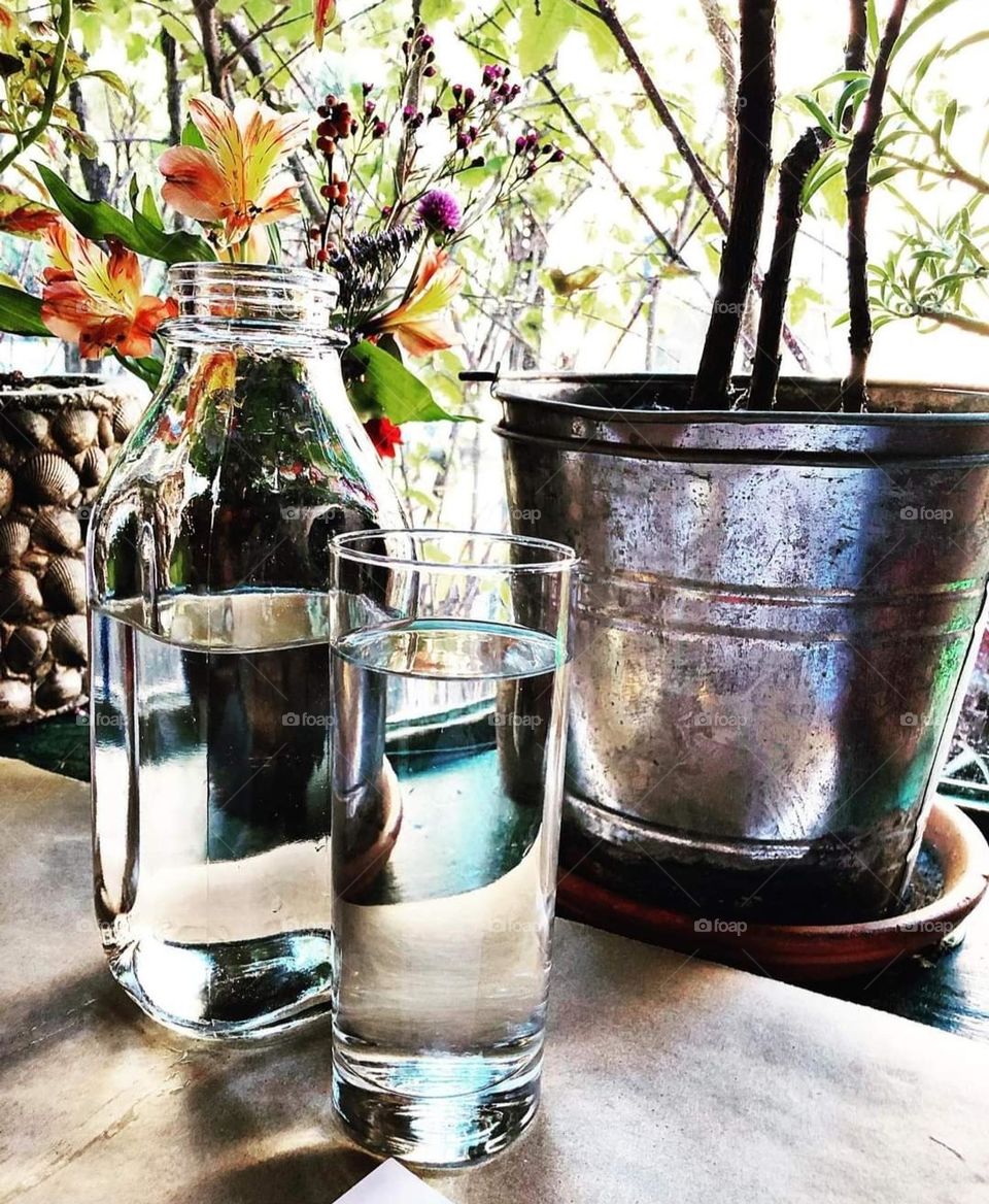 Every Living Thing Needs Water