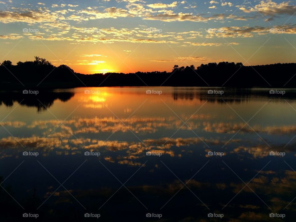 Golden Sunset over the Pond