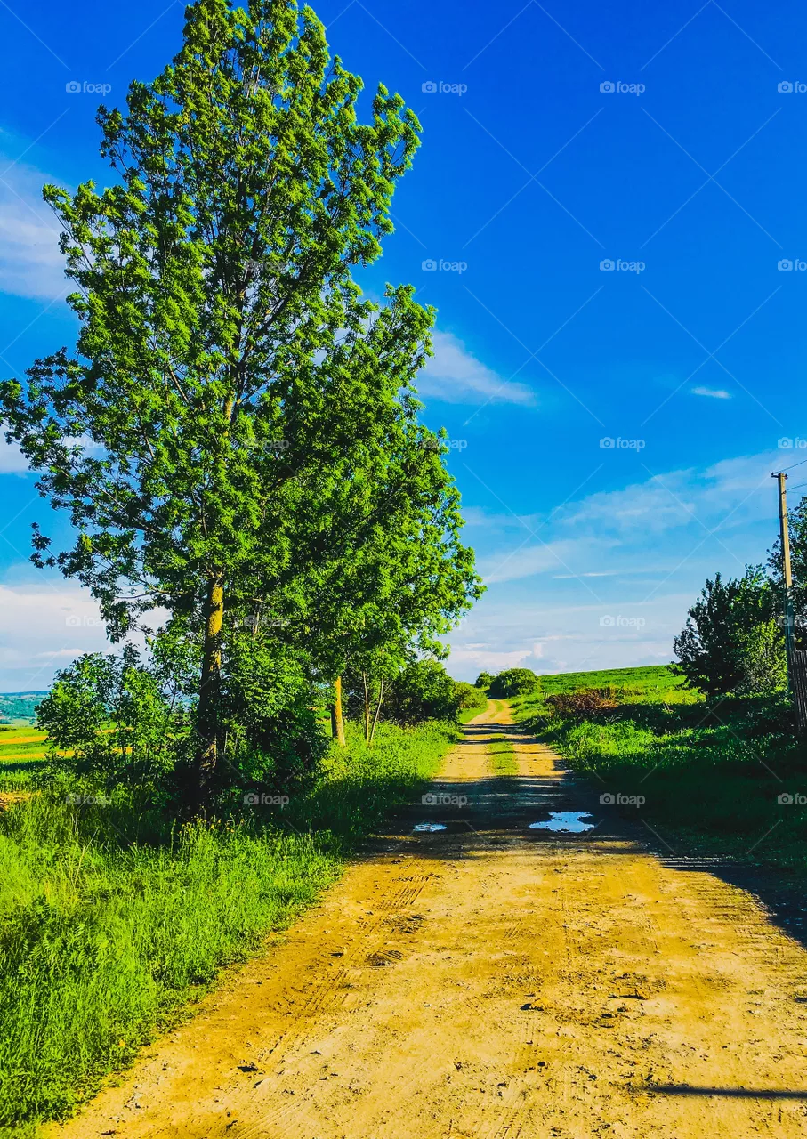 nature