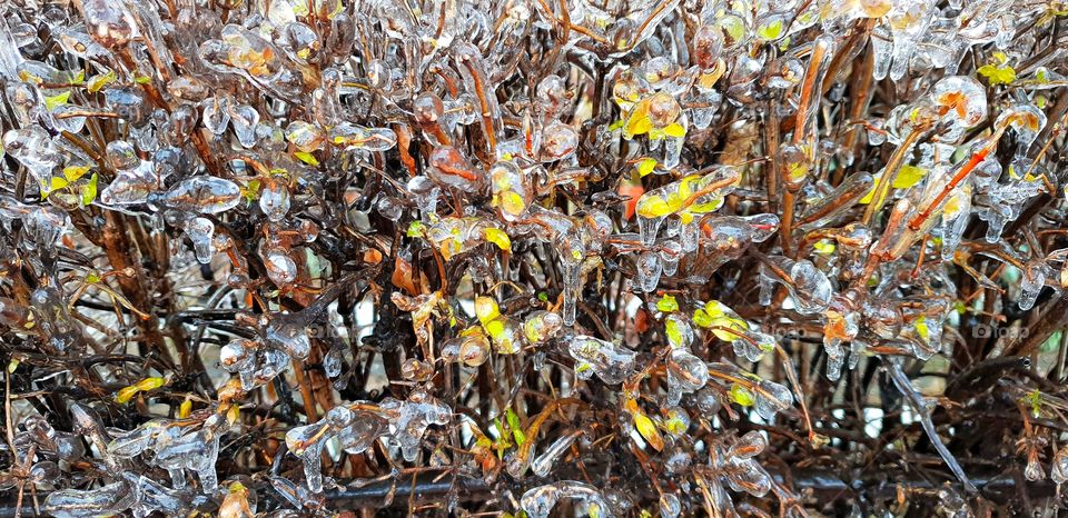 Frozen rain in Bucharest