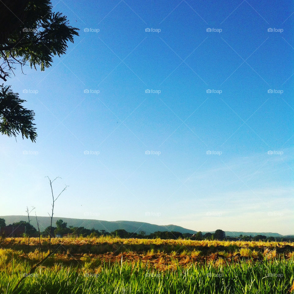 🇺🇸 Blue sky very beautiful to contemplate the inspiration of nature! / 🇧🇷 Céu azul muito bonito para contemplarmos q inspiração da natureza!