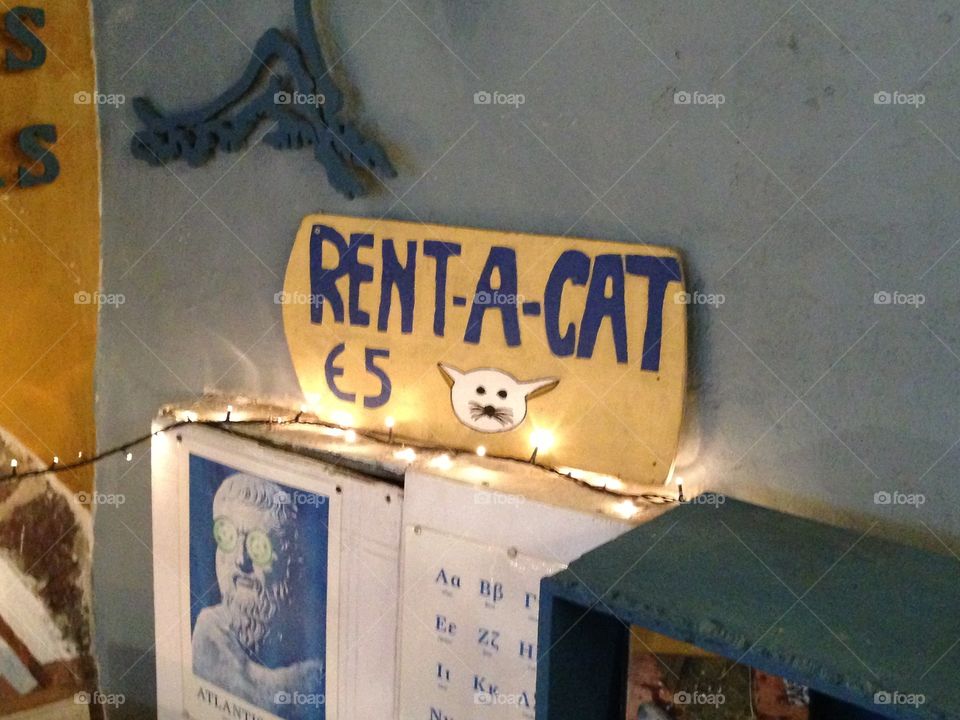 Rent a Cat