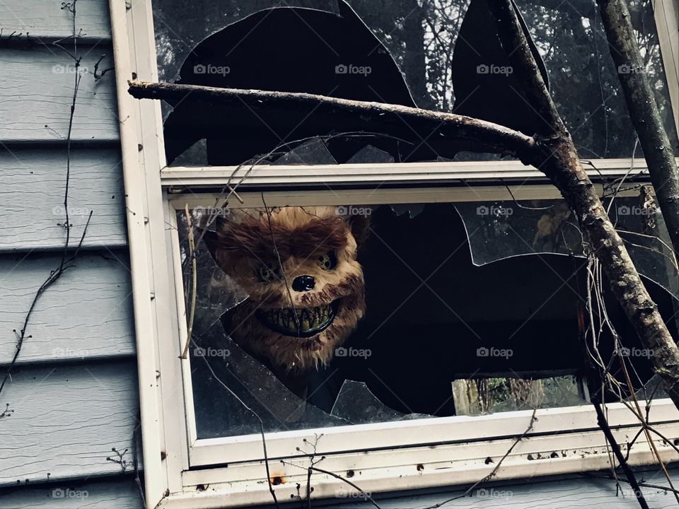 Scary teddy bear in a broken window