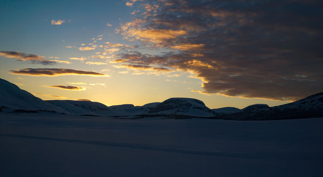 Midnight Sun