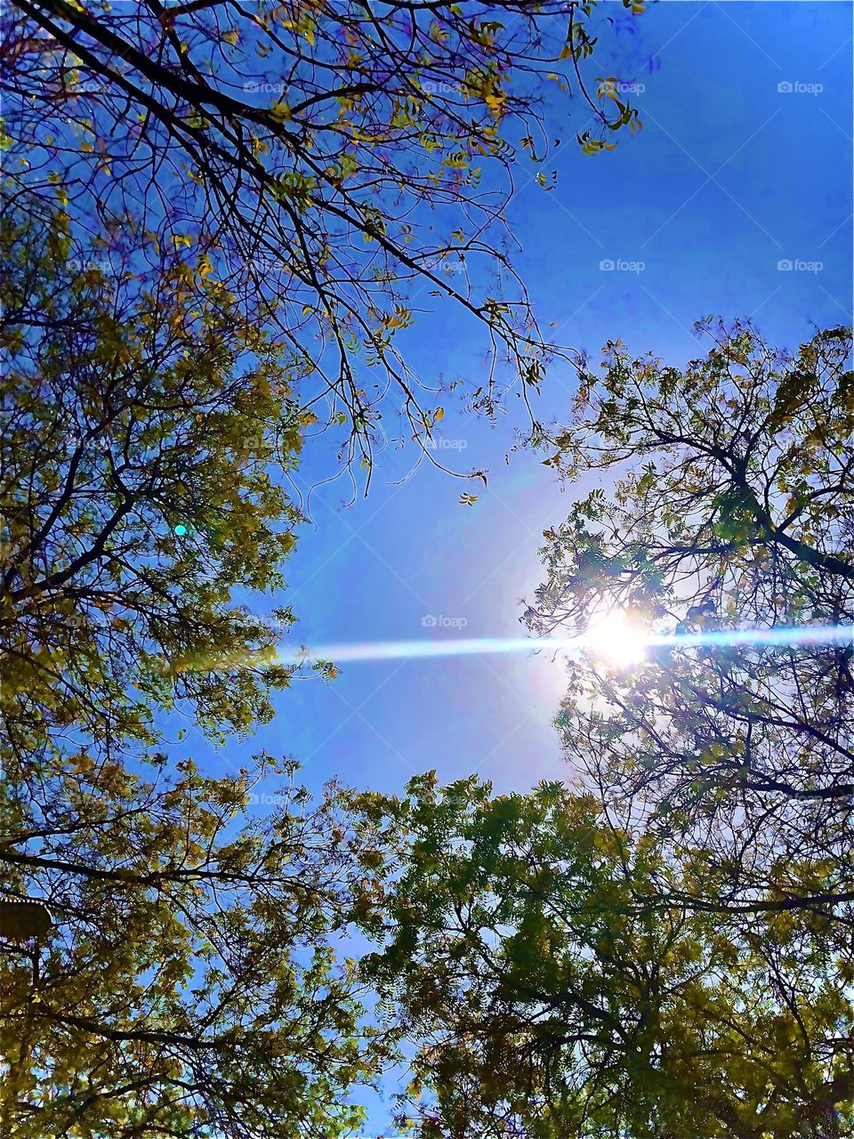 Upload the photo of the month May