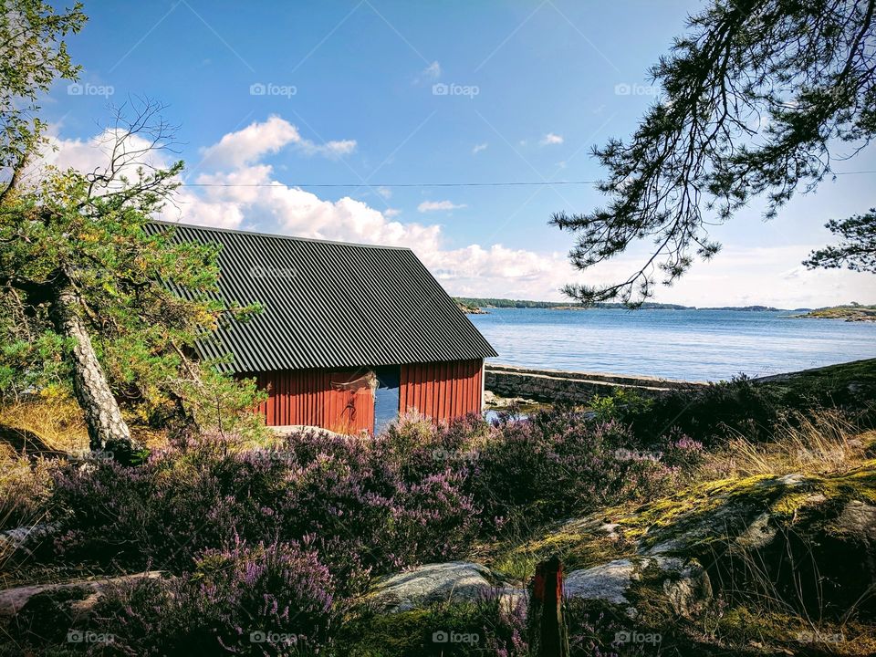 Red shed by lake surrounded by nature