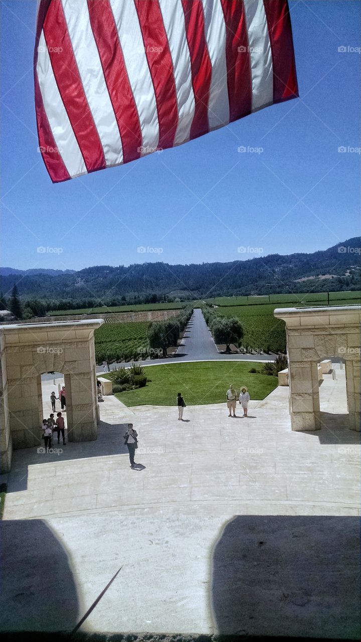 Vineyards of Napa Valley