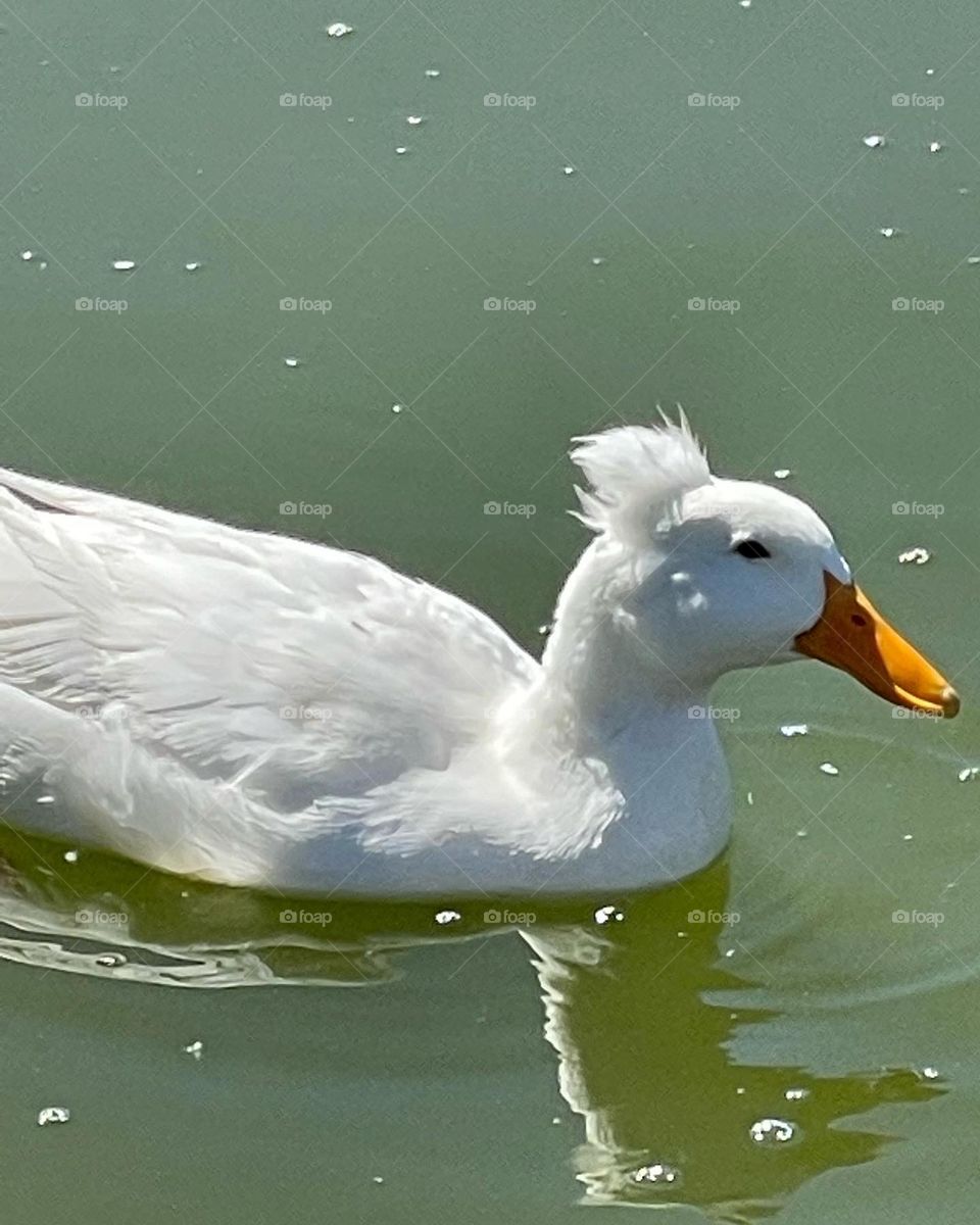 Achievements are combination of serenity and movement.