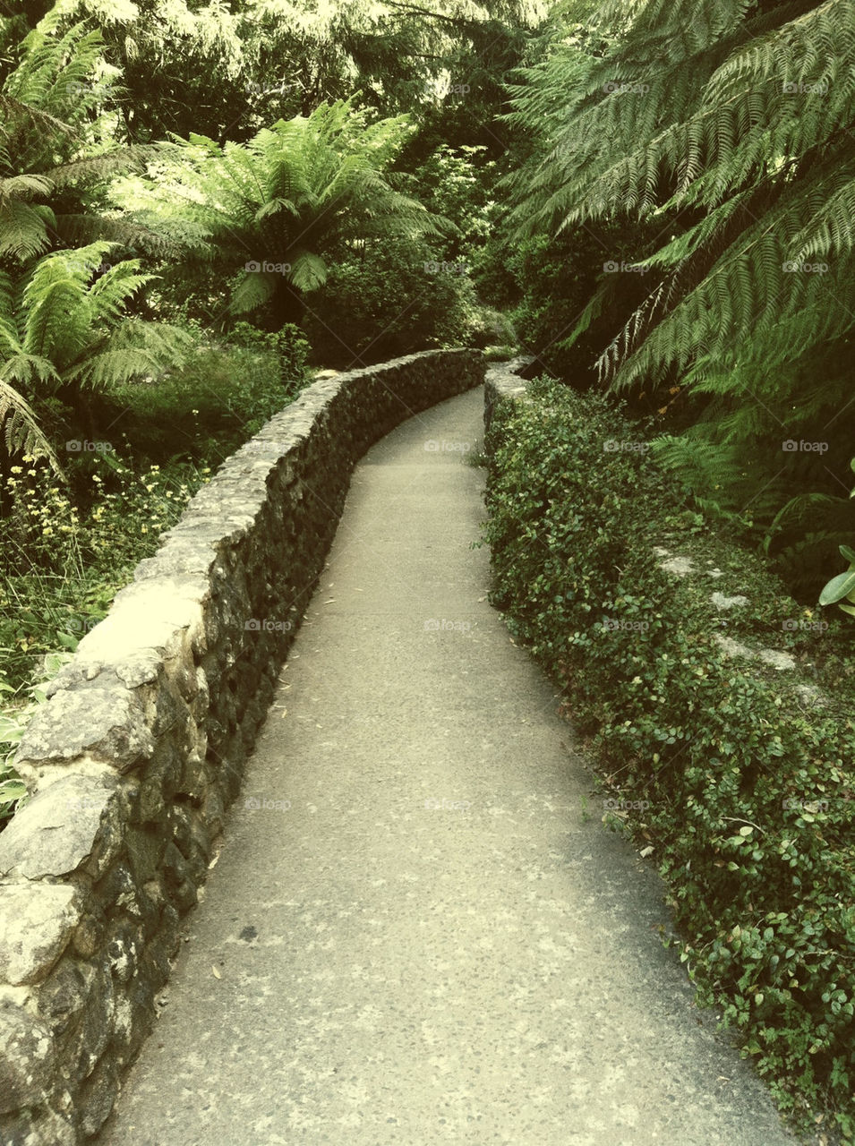 Taken at the idyllic National Rhododendron Gardens in the beautiful