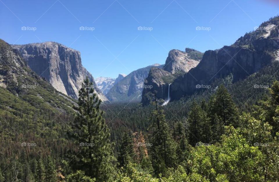 Forest Valley and Waterfall in Yosemite 