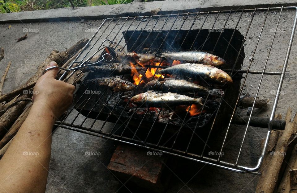 fish barbecue sardines firewood