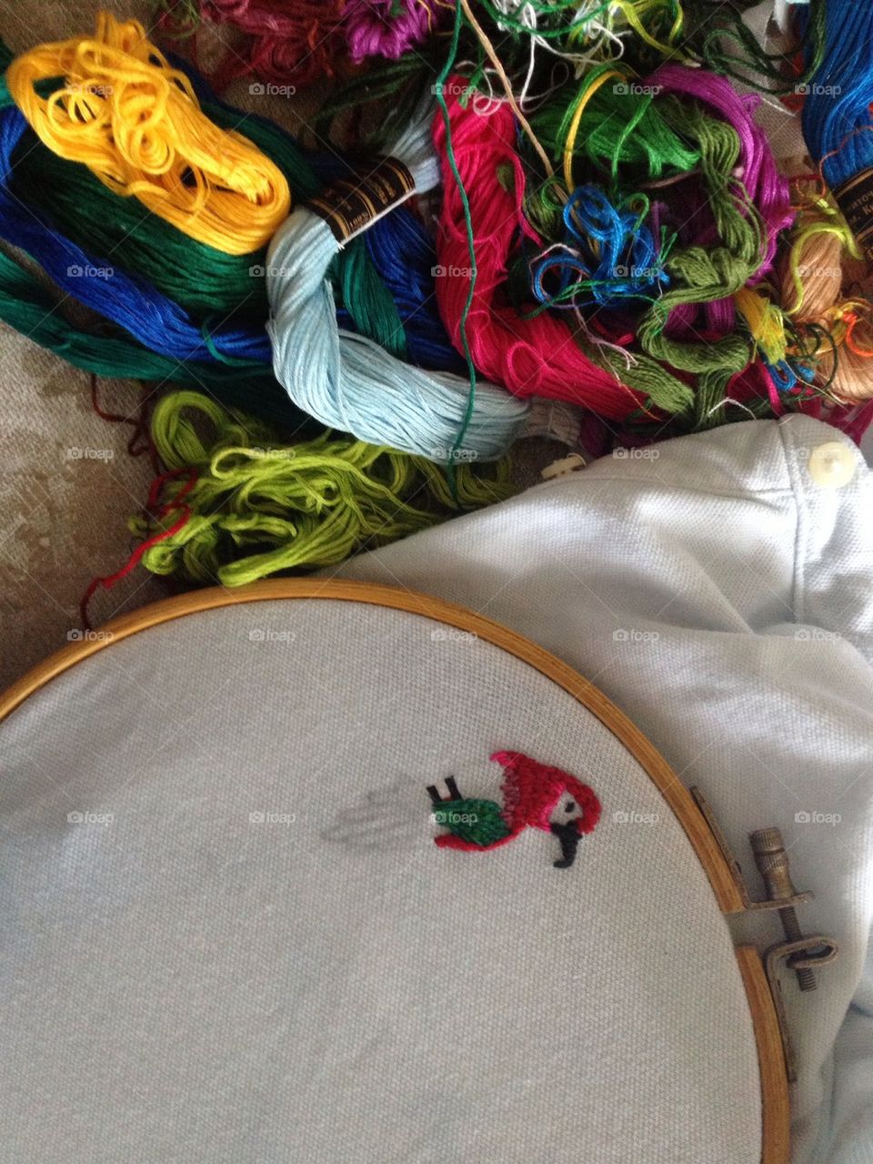 Embroidery parrot