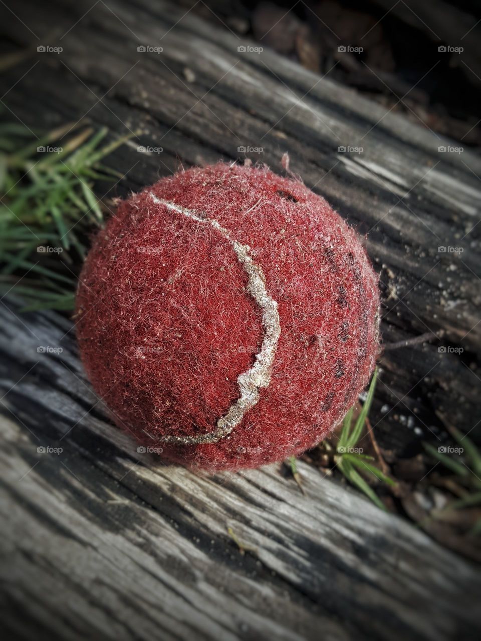 Moody ball