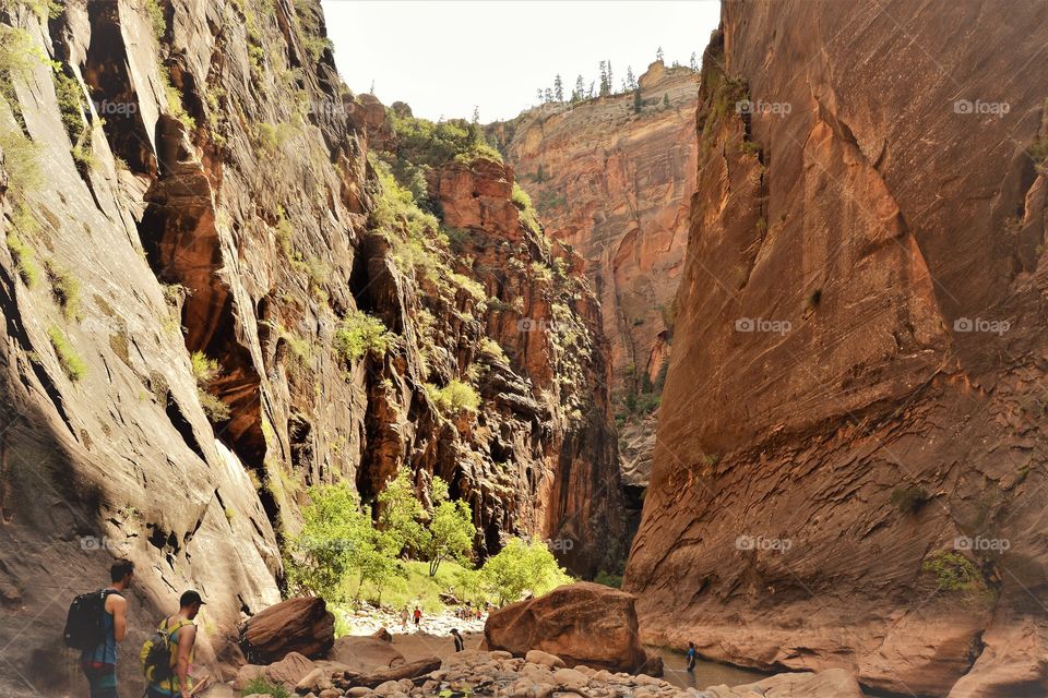 Zion Narrows 