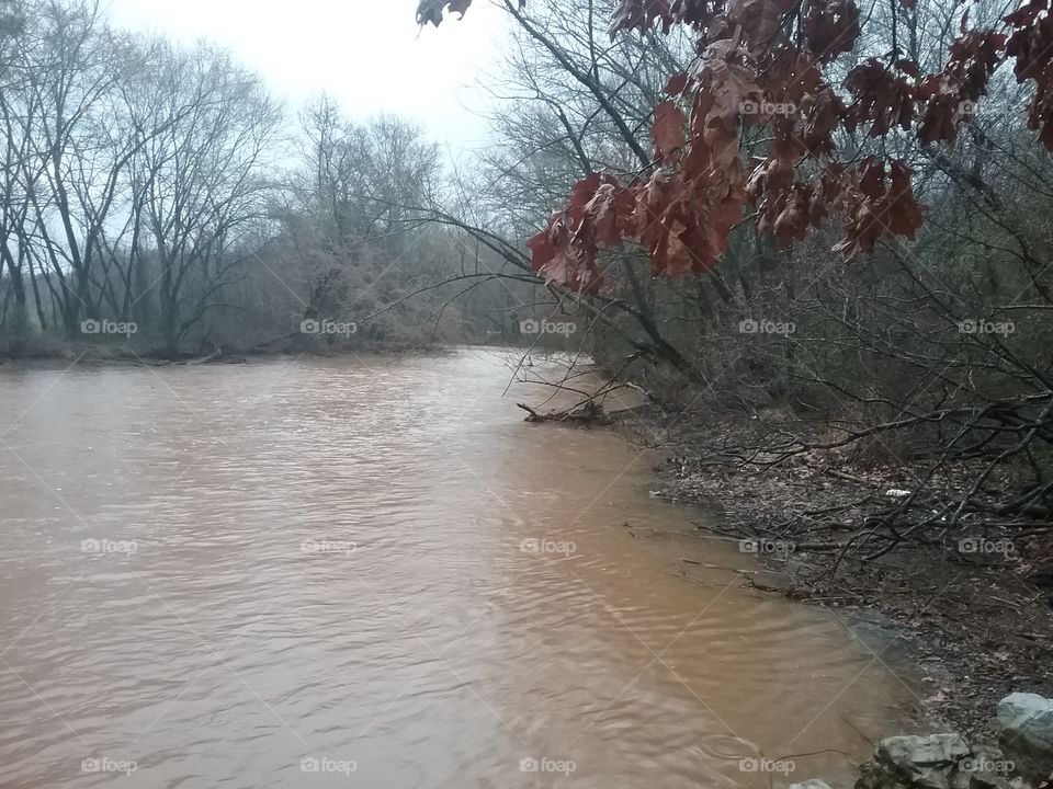 Flooded creek