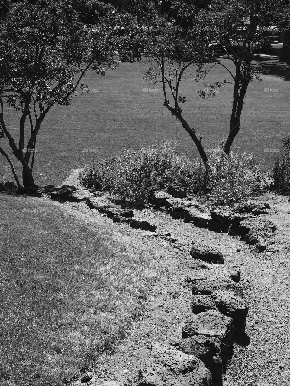 Beautiful landscaping at Pioneer Park in Bend in Central Oregon on a sunny summer morning. 