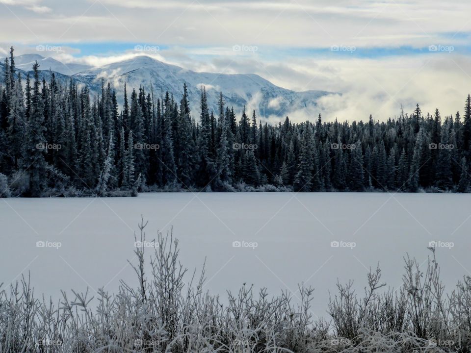 Scenic view of frozen pond