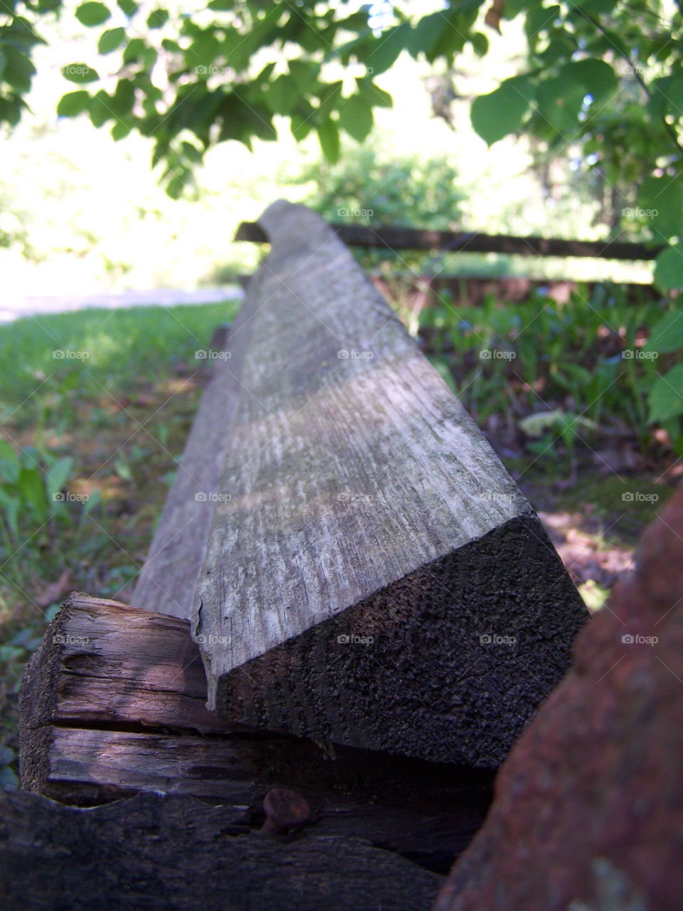 light macro close wood by ashley77